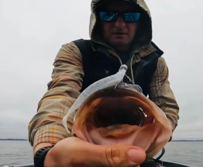 Lures