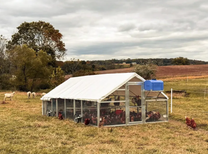 10×18 Mobile Coop – Spacious, Secure & Built to Move!