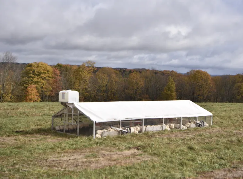 9×24 Broiler Coop – Maximum Capacity, Minimum Effort