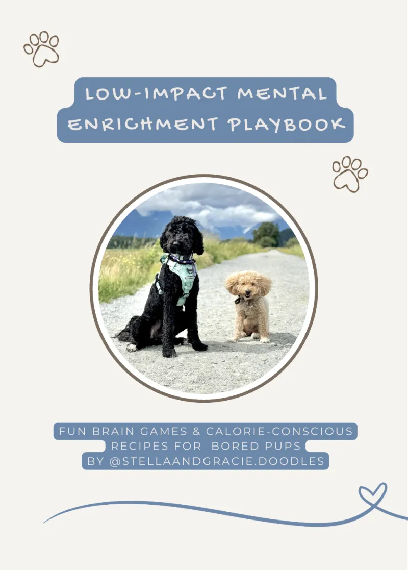 Low Impact Mental Enrichment Playbook