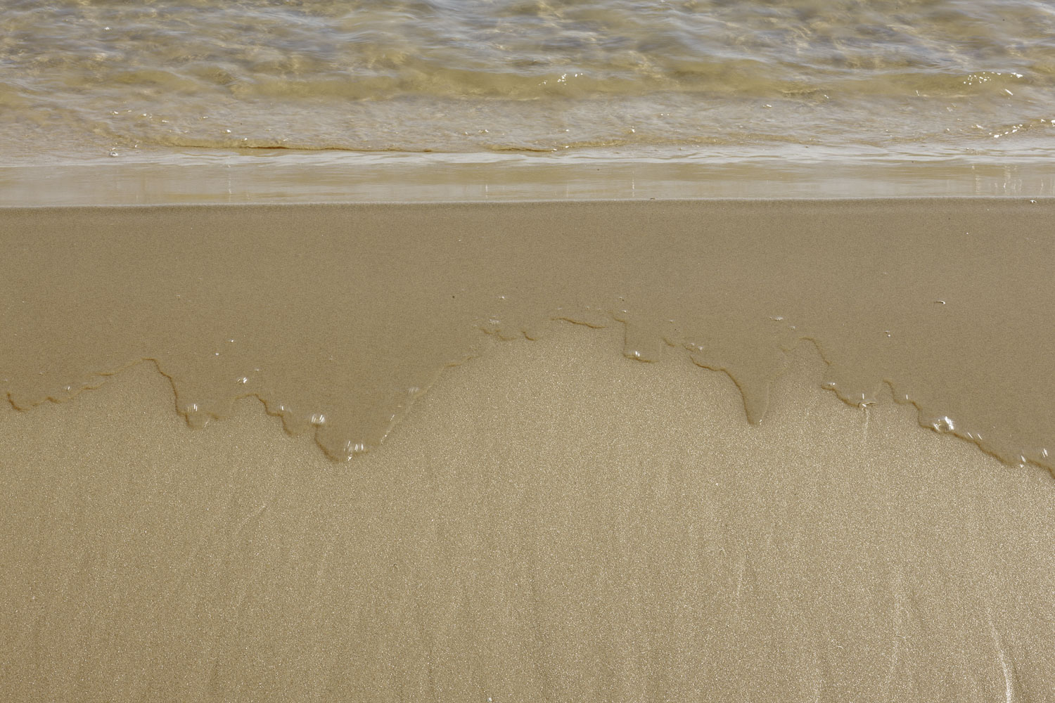 Beach Edge