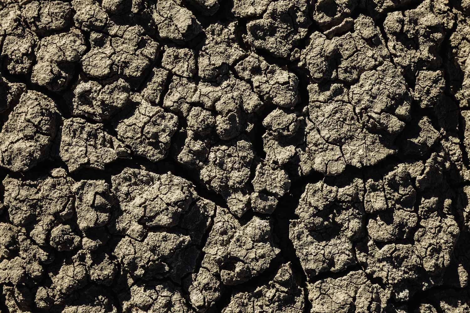 Earth, Close-up