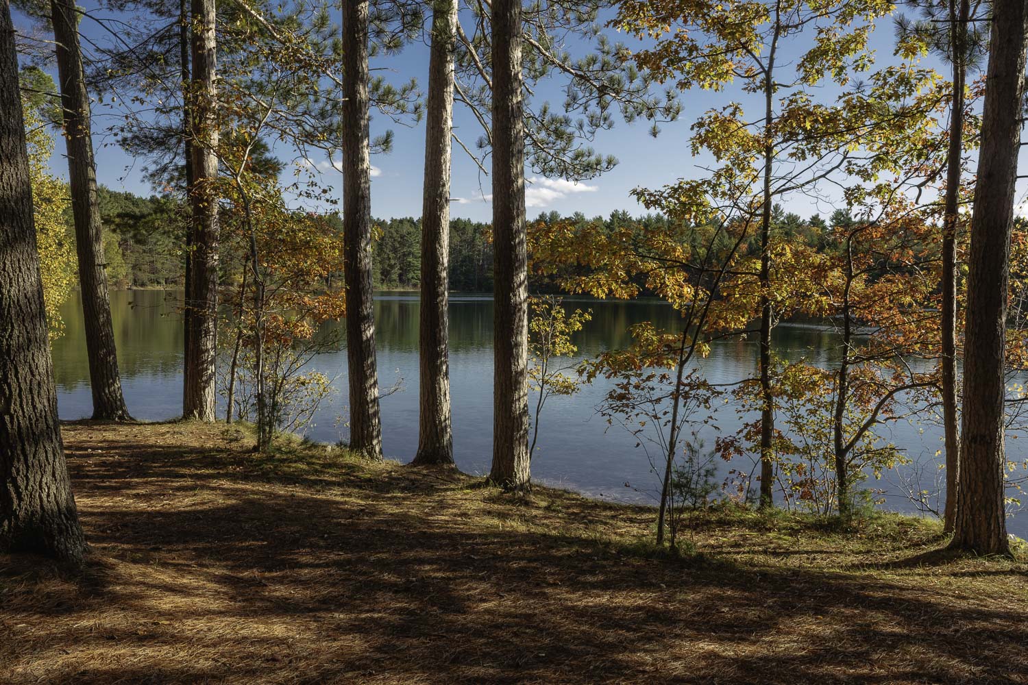 Autumn Afternoon at Firefly