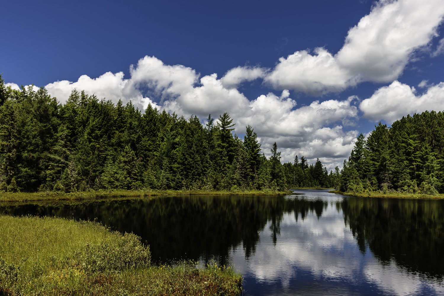 August Bog Lake