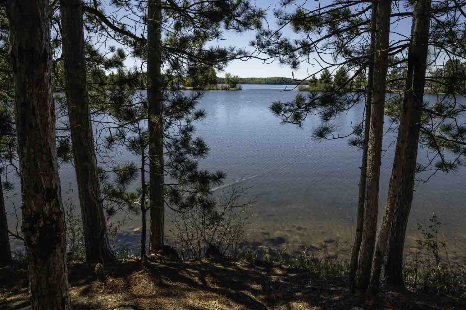Star Lake Campsite