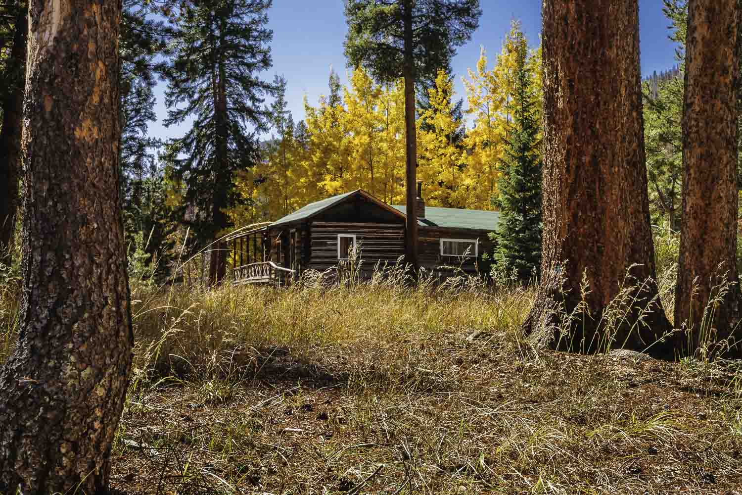 Cabin Retreat
