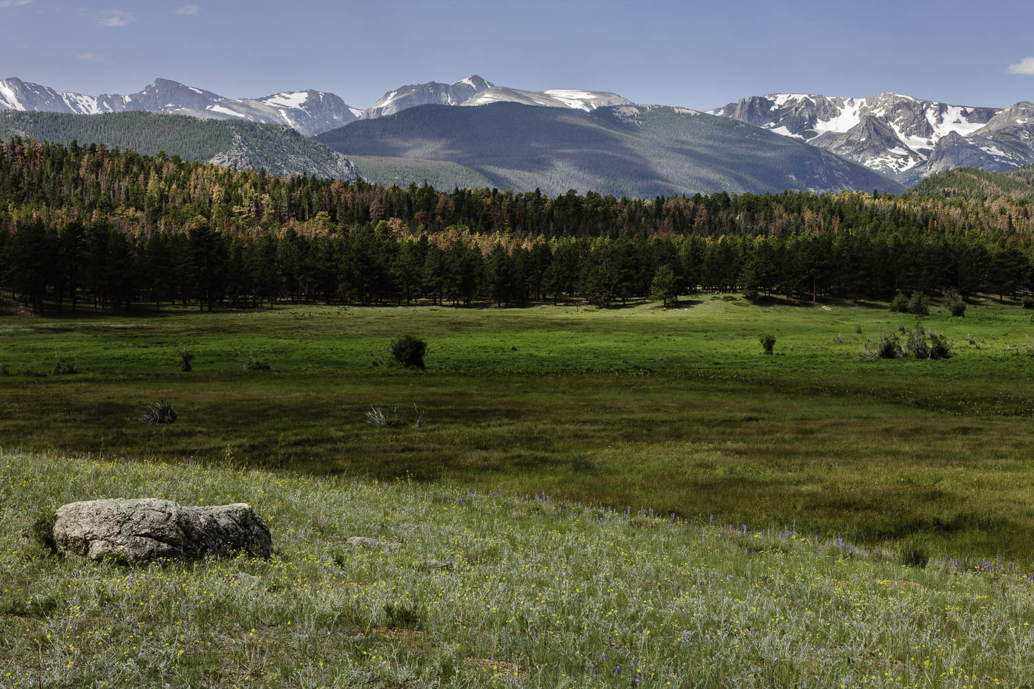 Rocky Mountain Solitude