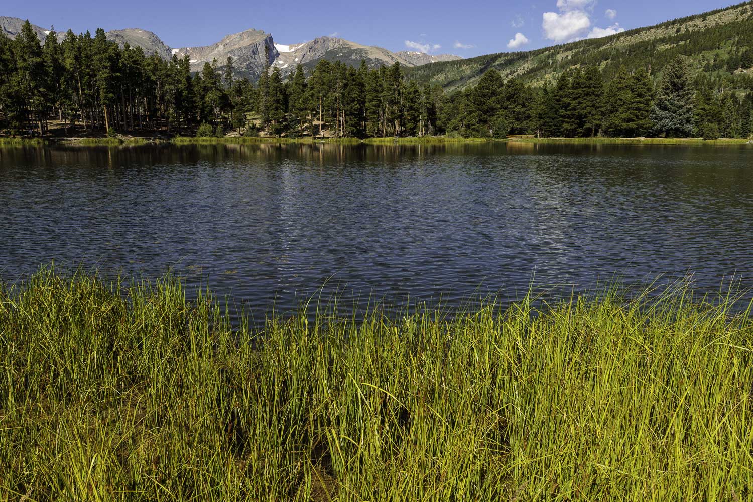 Sprague Lake and Mountains