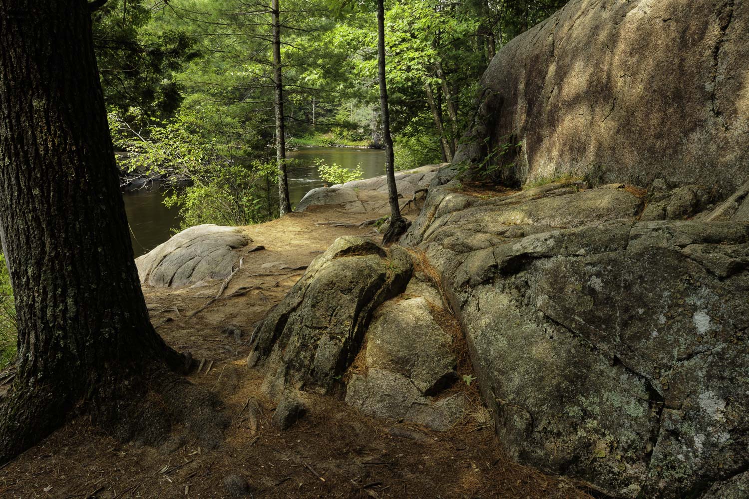 Northern Wisconsin Boulders