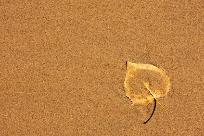 ALONE, BY ITSELF
