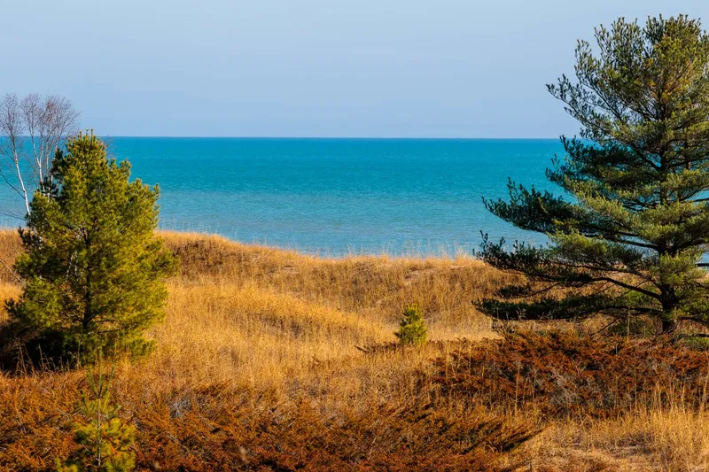 VIEW FROM THE DUNES