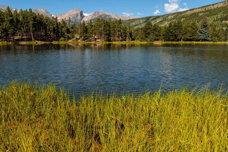 SPRAGUE LAKE & MOUNTAINS