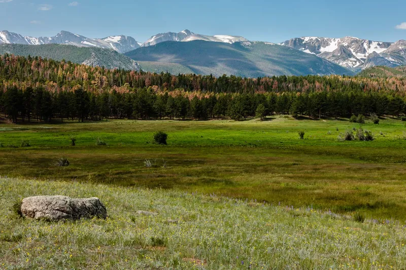 ROCKY MOUNTAIN SOLITUDE