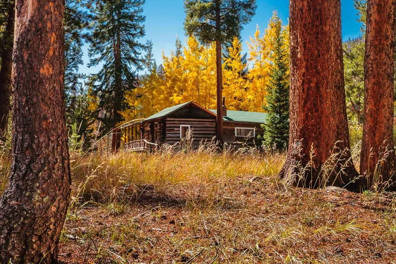CABIN RETREAT