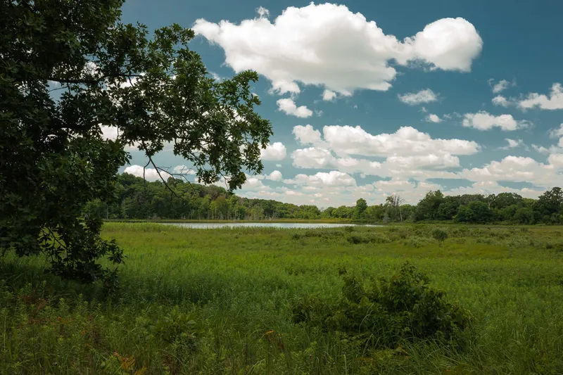 JOHN MUIR'S BOYHOOD LAKE