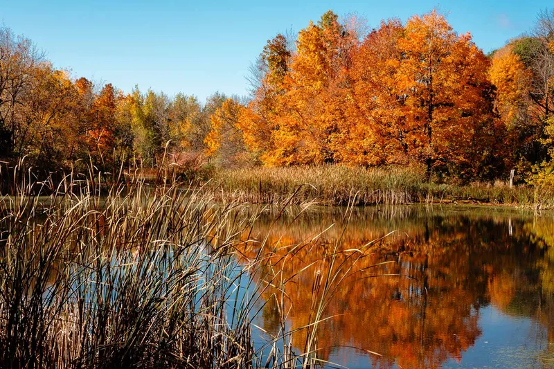 AUTUMN POND