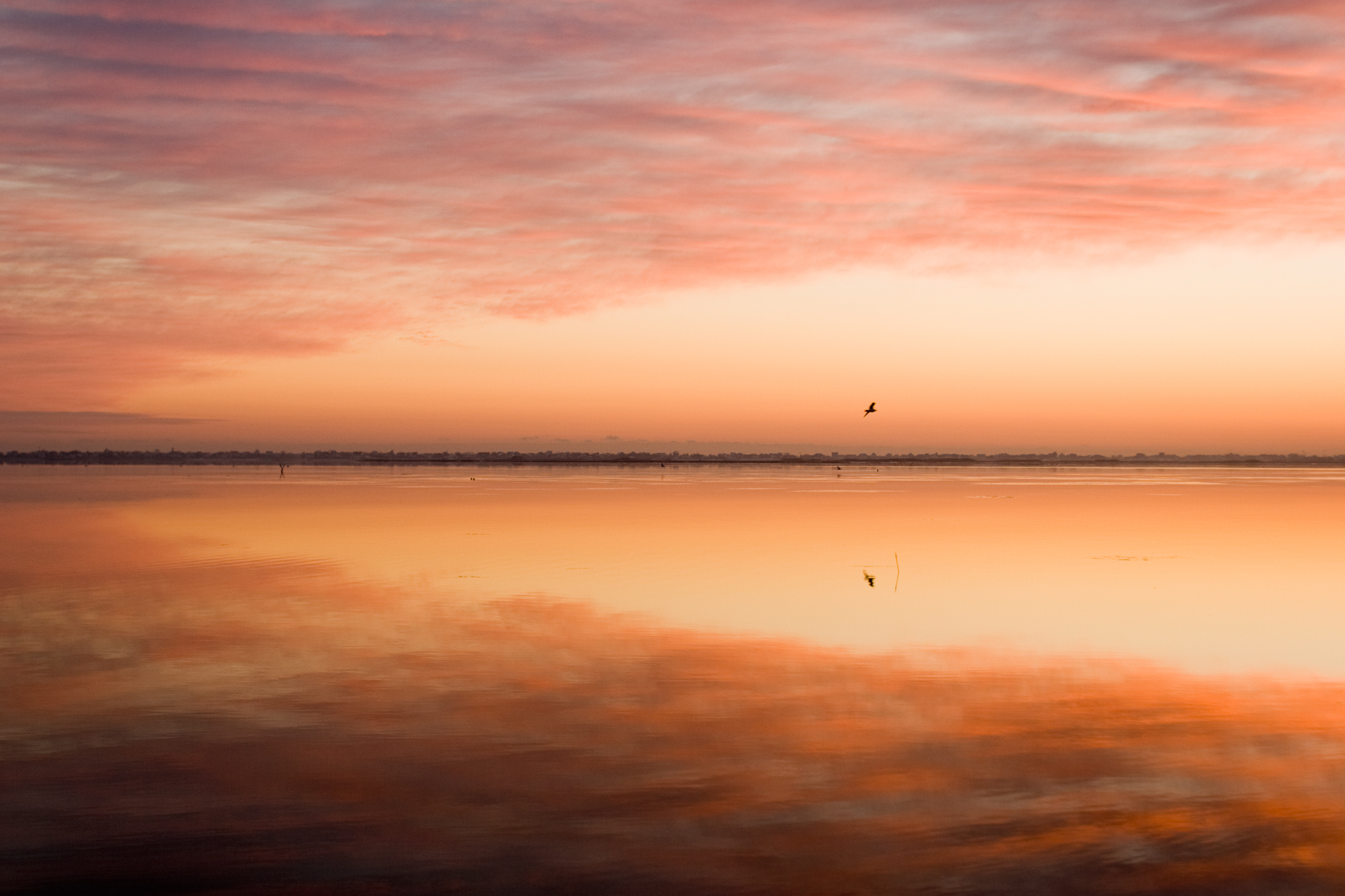 HORIZON #5 – Joppa Flats, Sunrise, Newburyport, MA