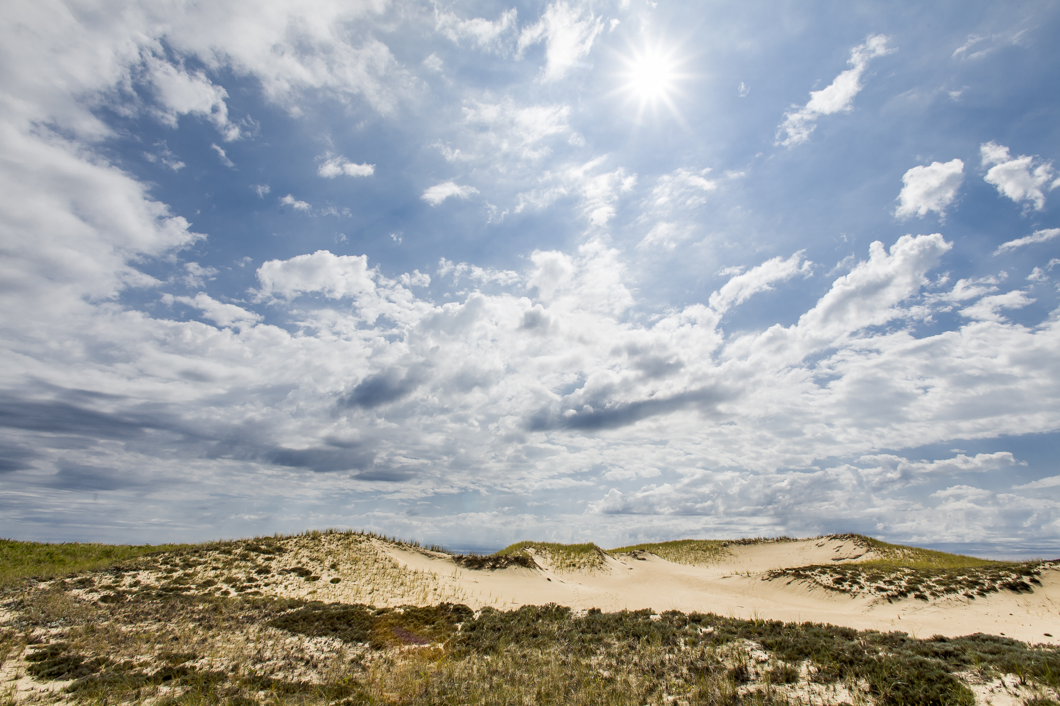 DUNES #1 – Plum Island, Newbry, MA