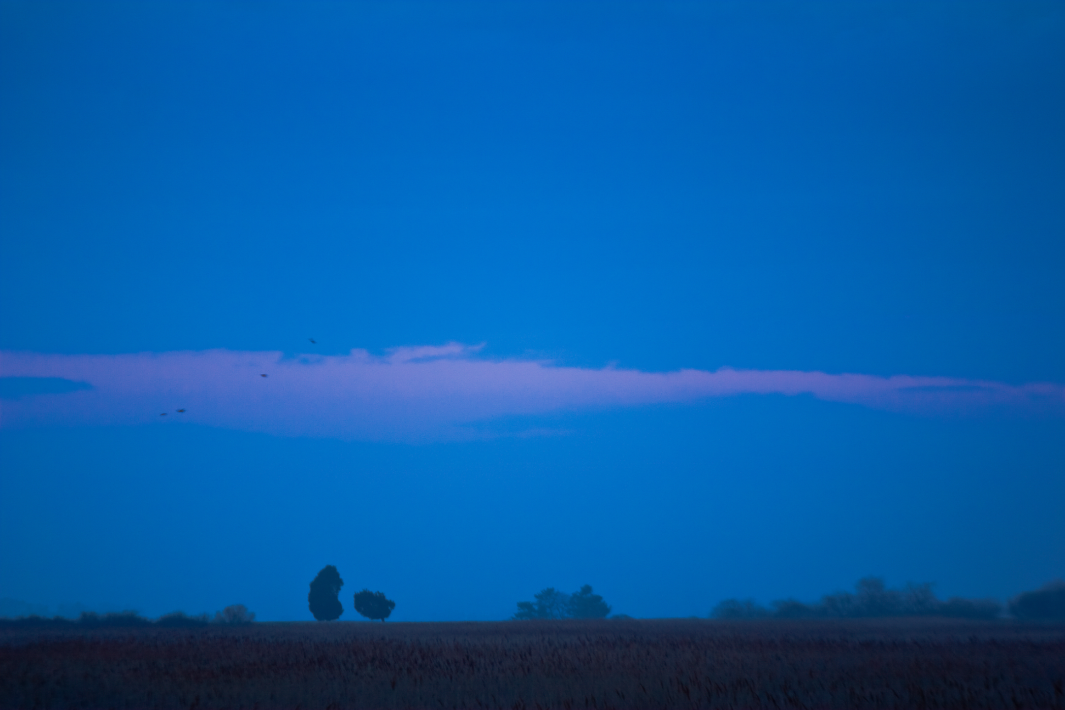 TWO CEDARS – Sunset, Plum Island, Newbury, MA