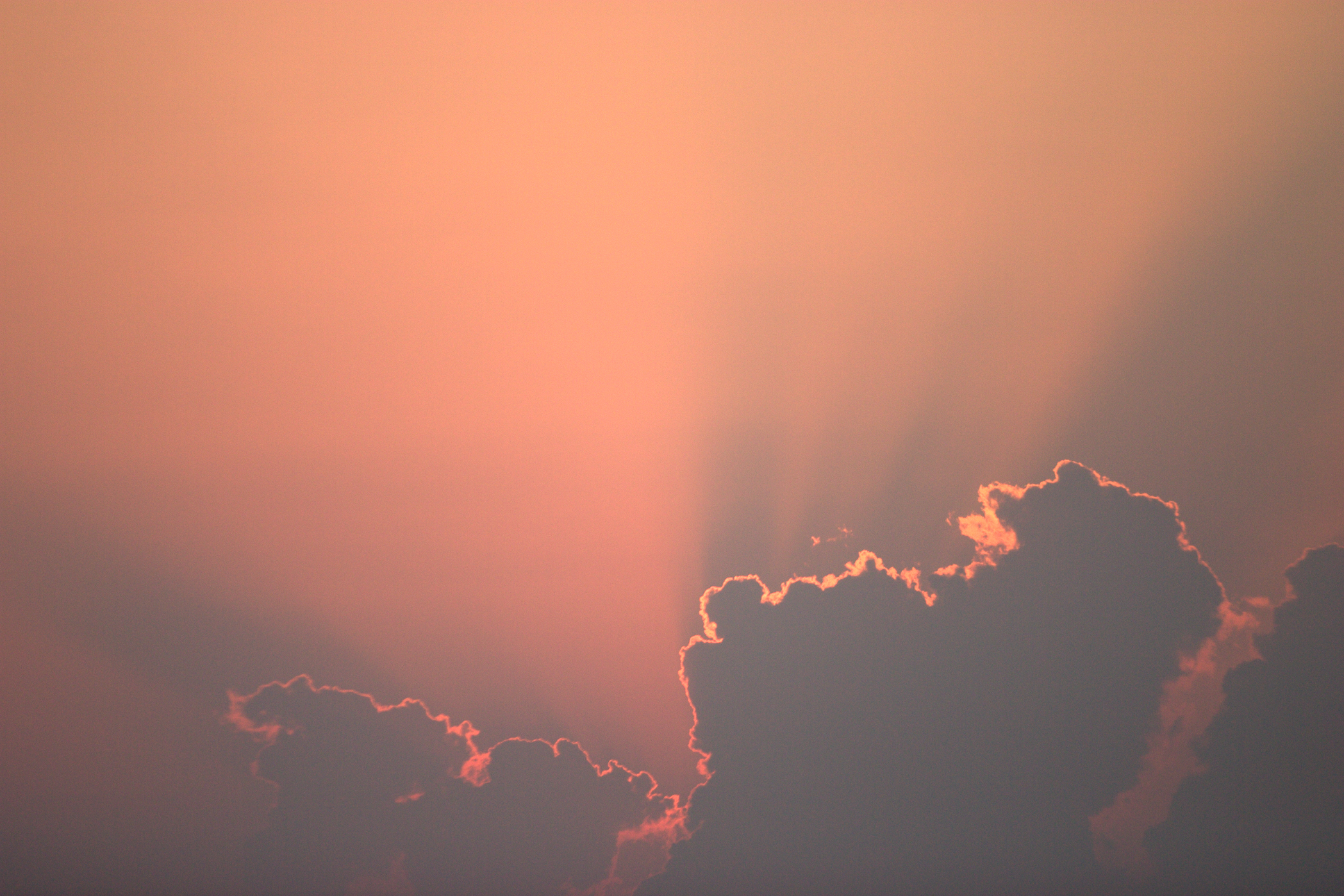 CAYMAN CLOUDS – Cayman, Braq