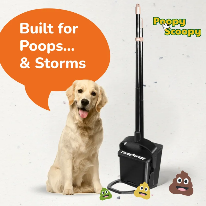 Poopy Scoopy COMING SOON | Pre-Order Available