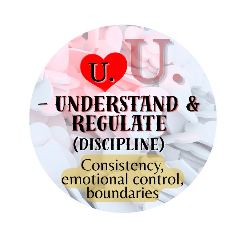 Understand & Regulate