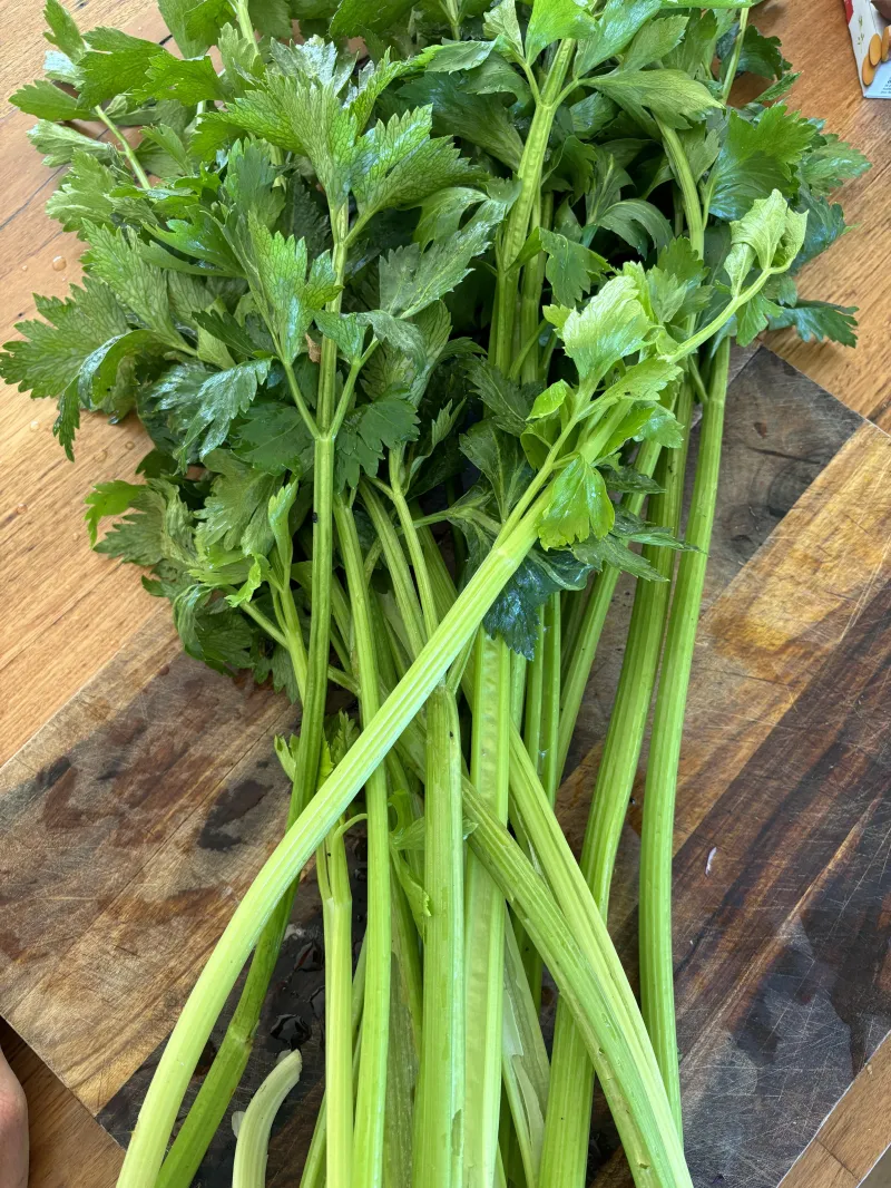 Celery 