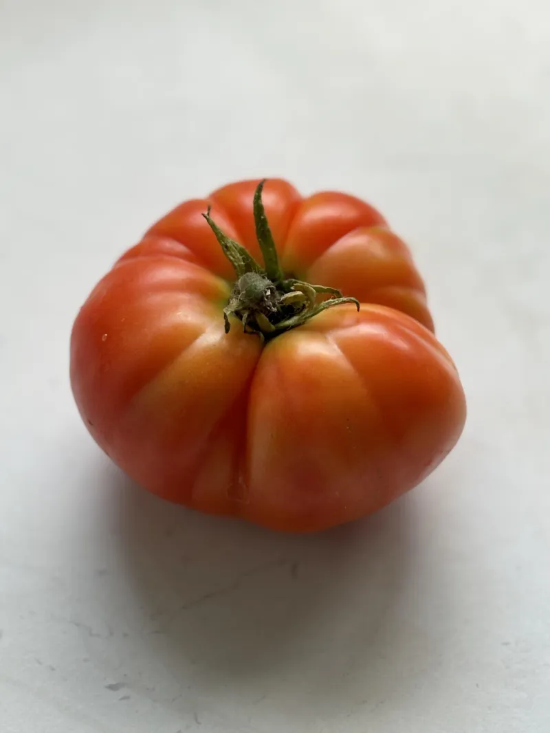 Tomato Mortgage Lifter