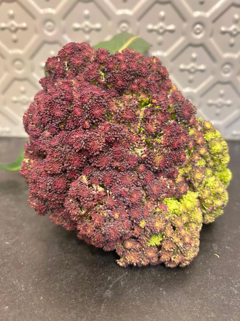 Cauliflower 'Purple Sicily'