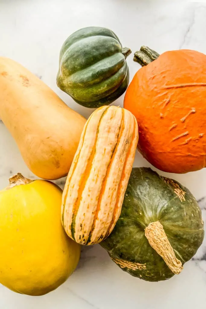 Fall Squash