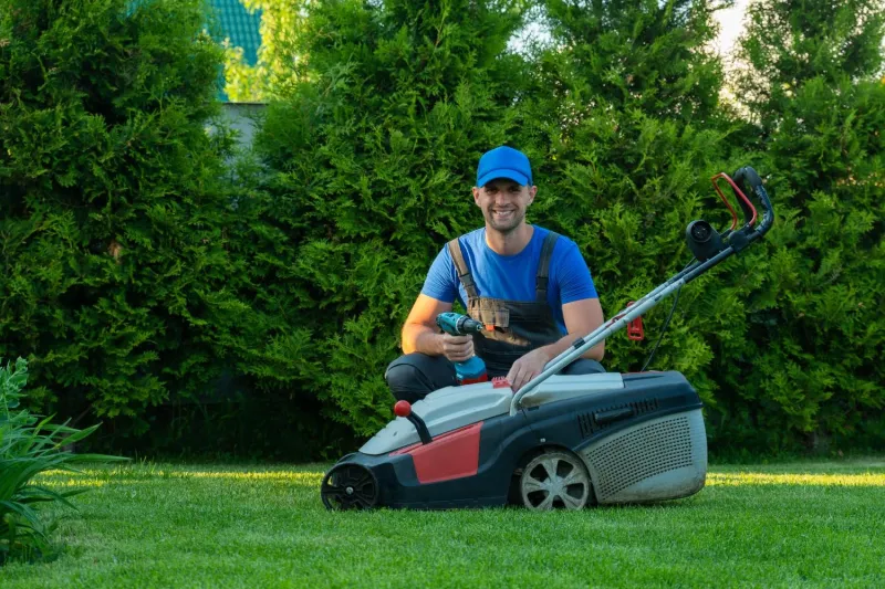 Lawn
