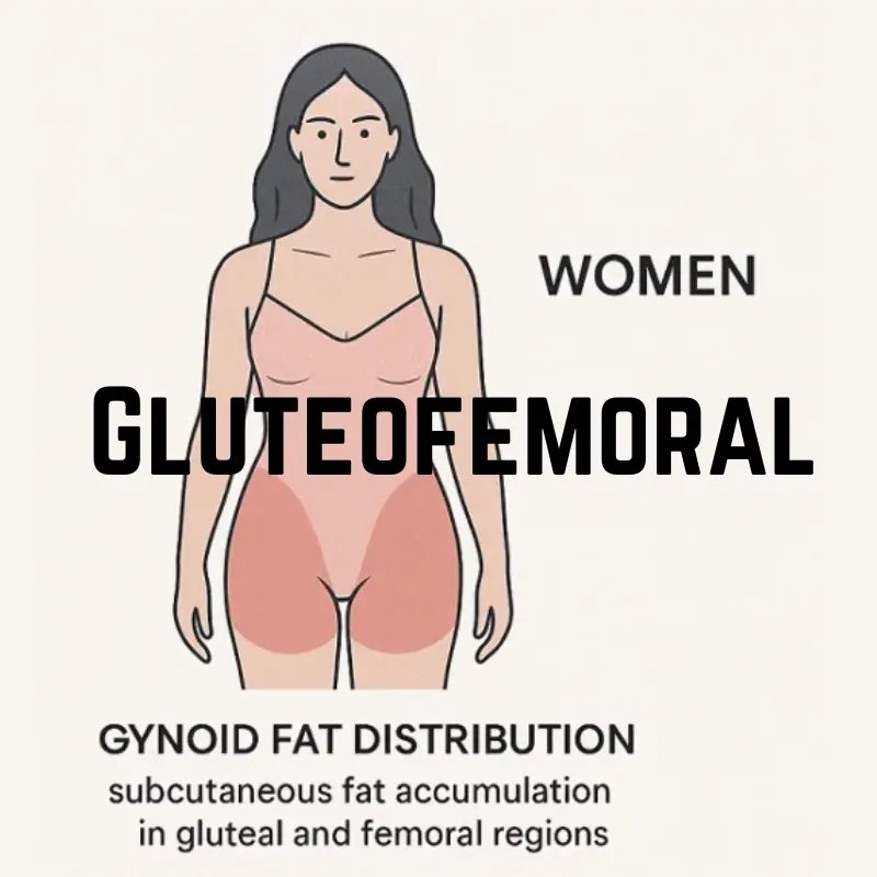 gluteofemoral fat storage (focus formula)