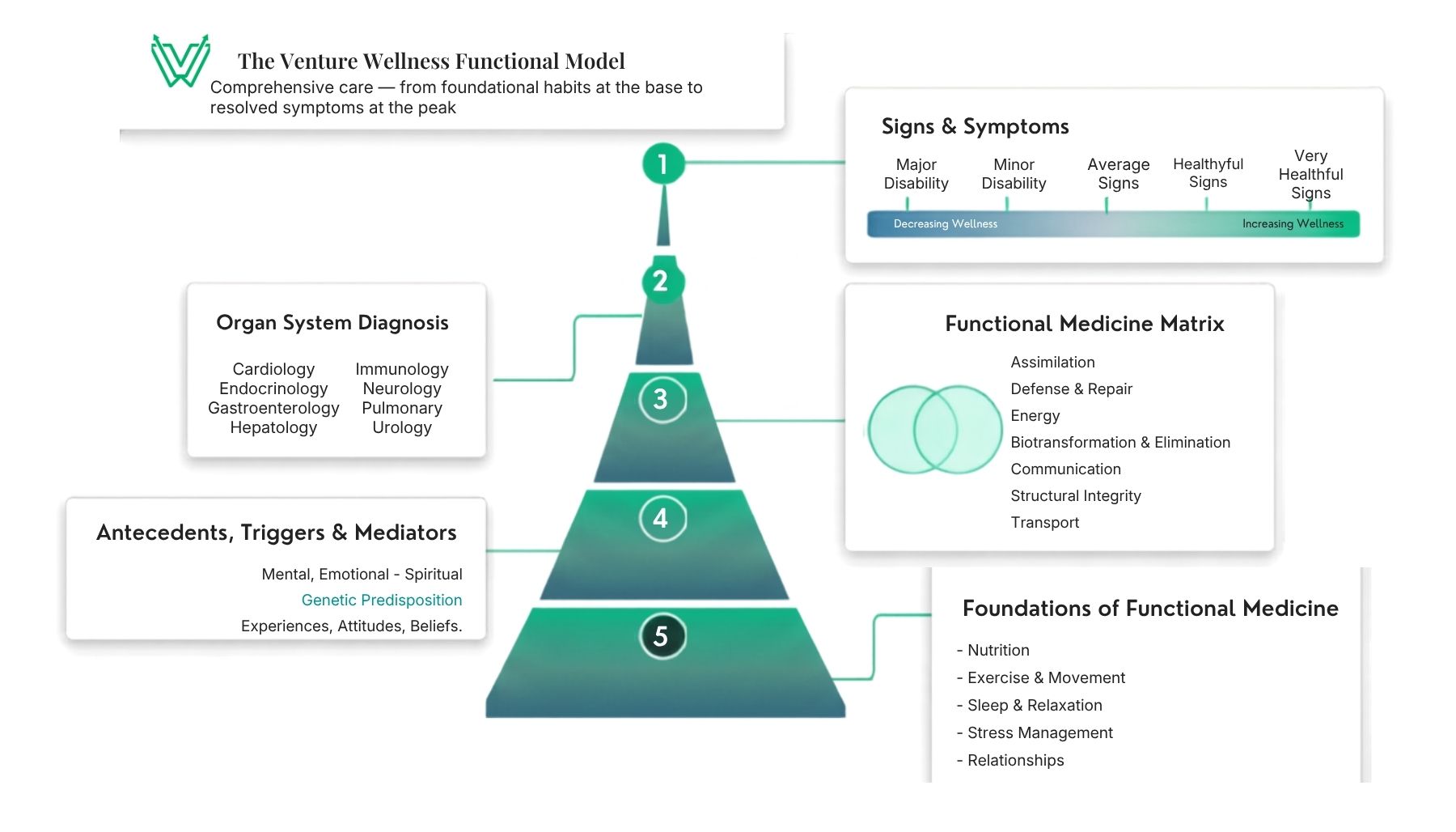 Comprehensive Wellness Plan