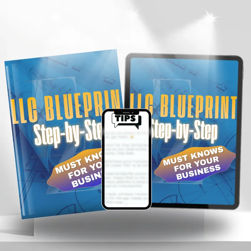 LLC Structure + Funding Blueprint