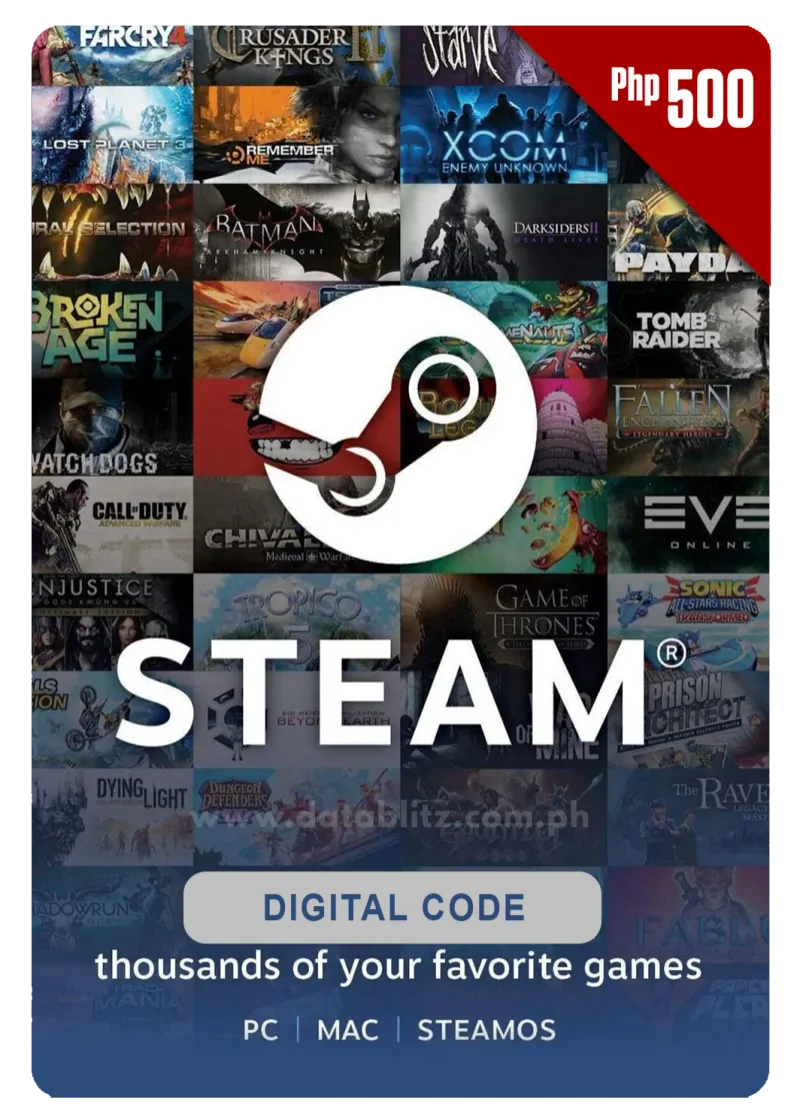 Steam Credit 500