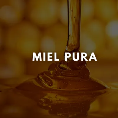 MIEL PURA