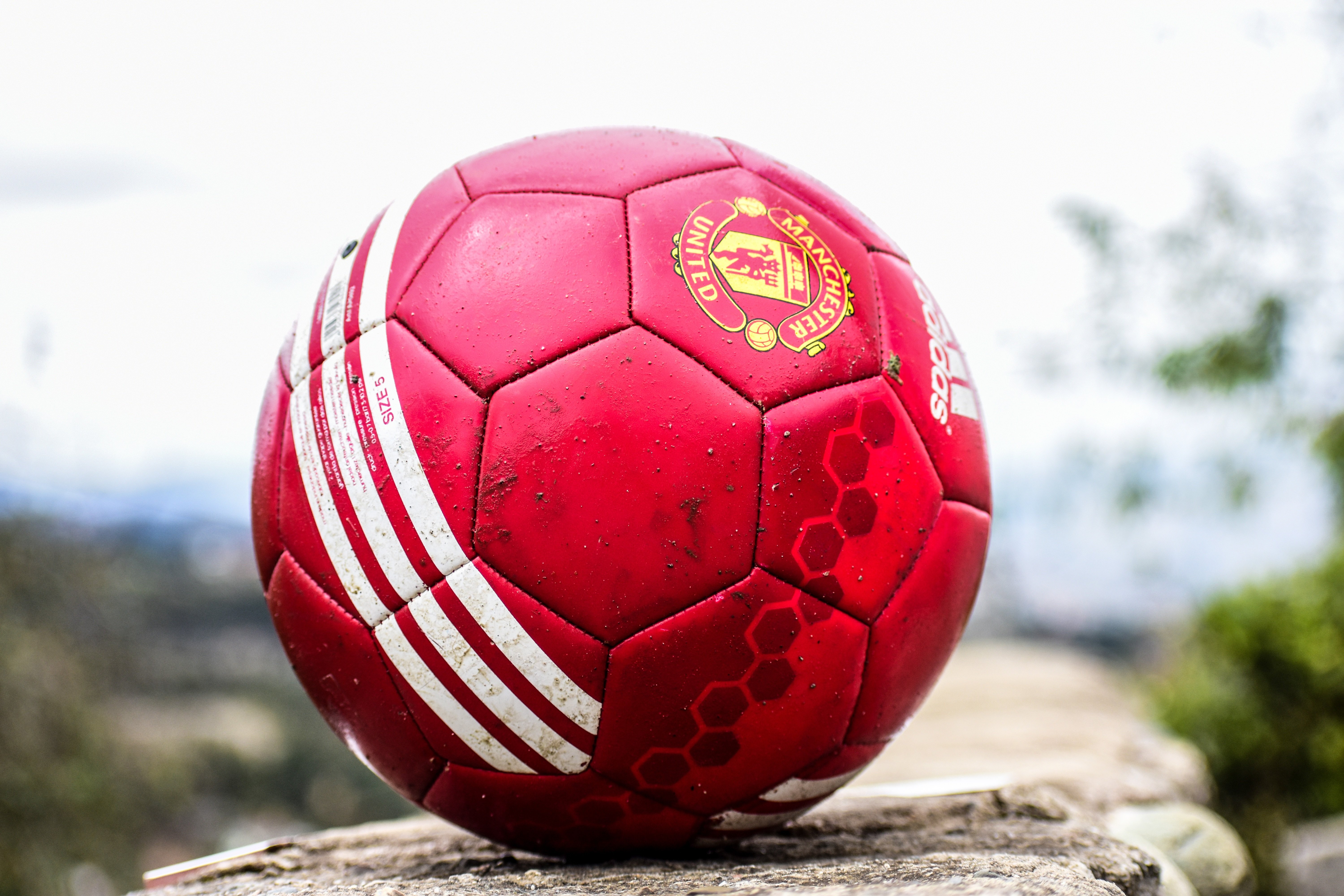 Sport Memorabilia