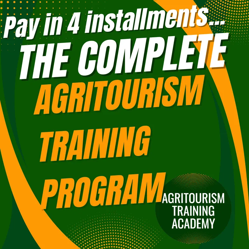 Payment Plan - 4 months 