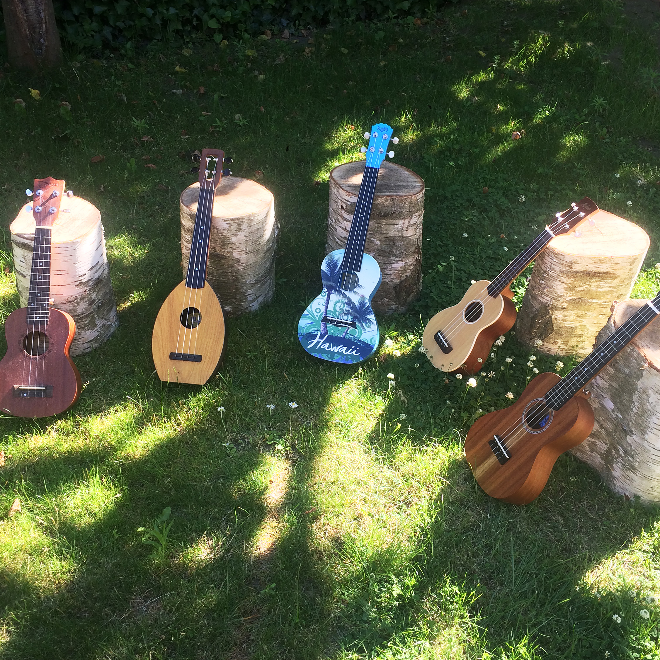 Workshop Ukulele