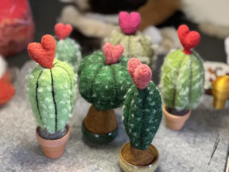 Needle Felted Cactus – Online Needle Felting Class & Kit with Reverse Needle Technique