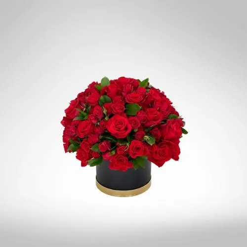 50 Rosas Rojas
