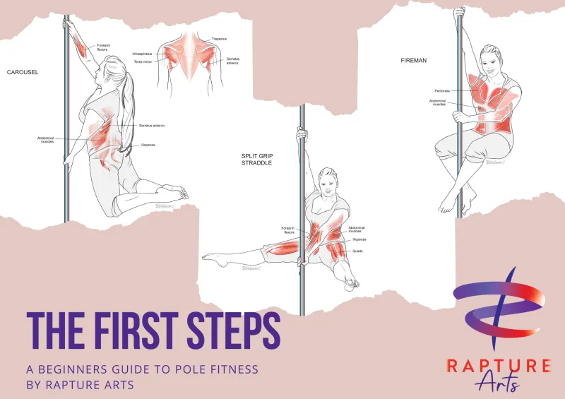 Pole Move Anatomy Poster Multi