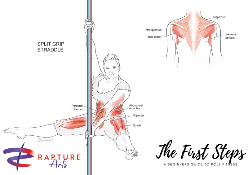 Pole Move Anatomy Poster - Single 