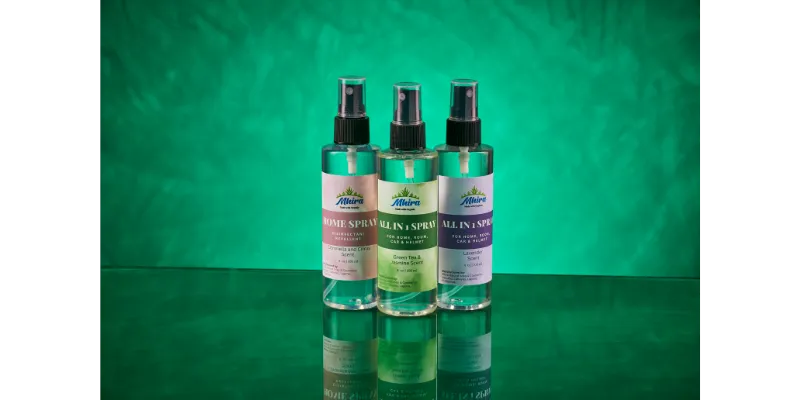 All-in-1 Spray for CAR, ROOM & HELMET