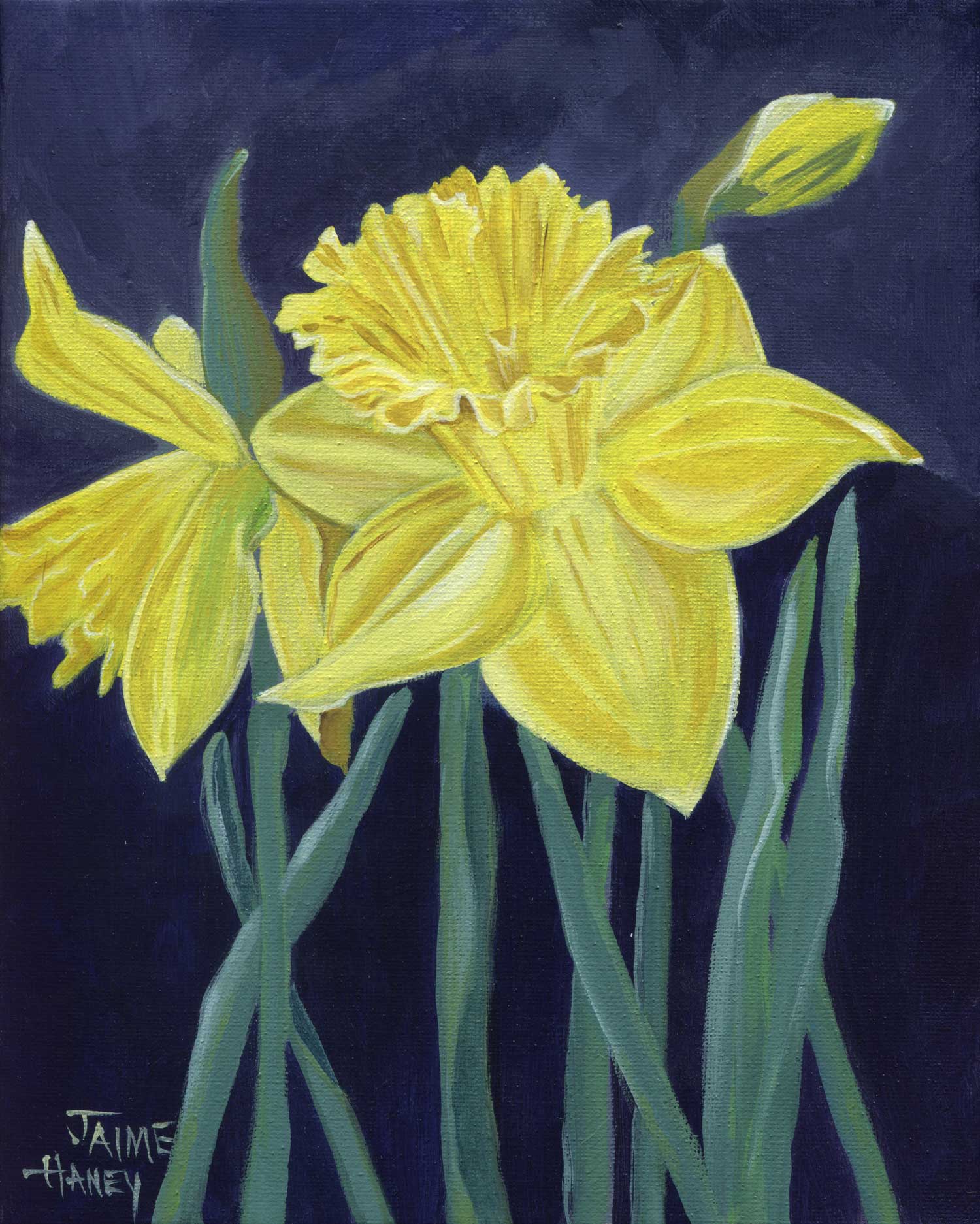 Plant and Flowers