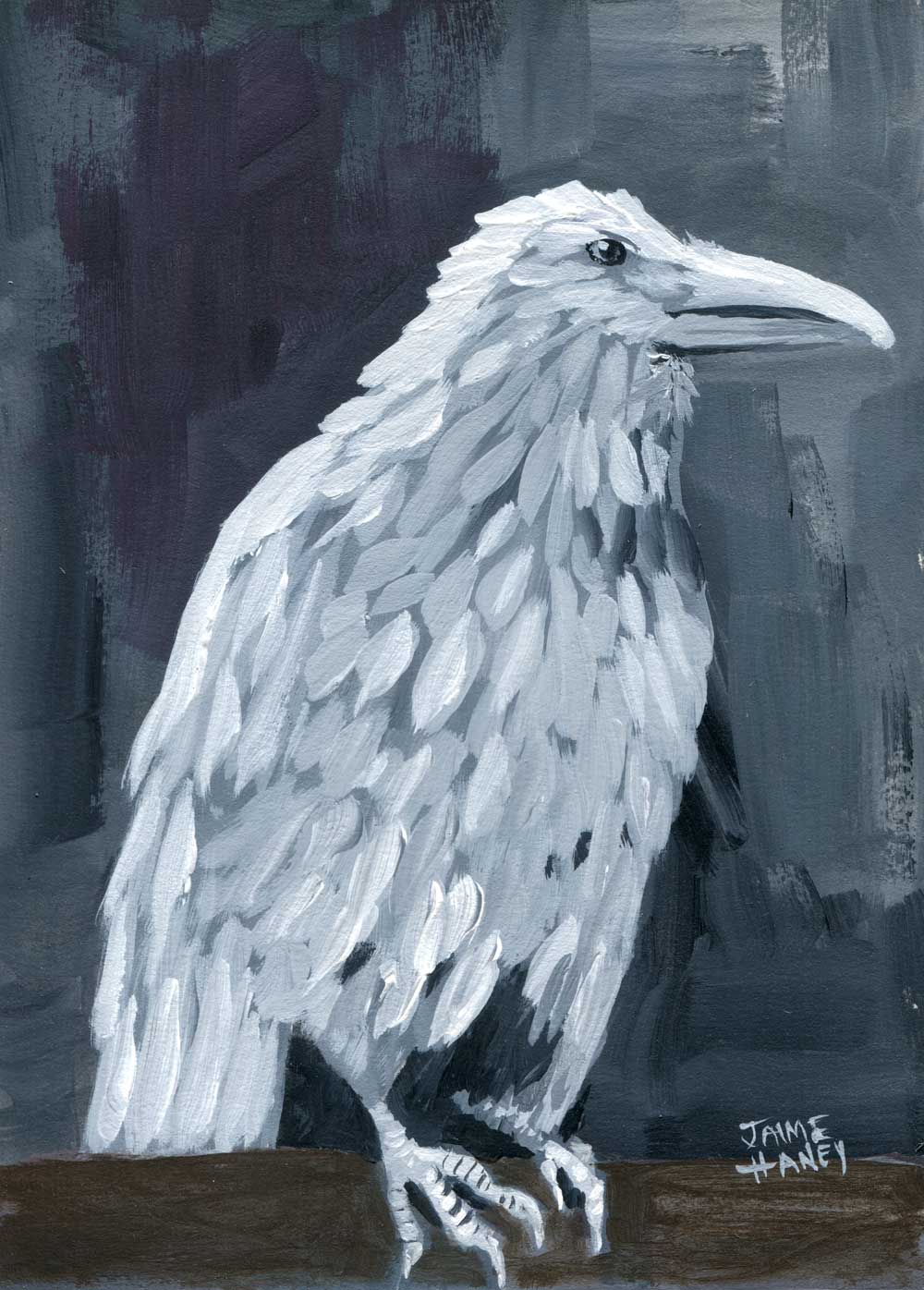 Bird Fine Art Prints