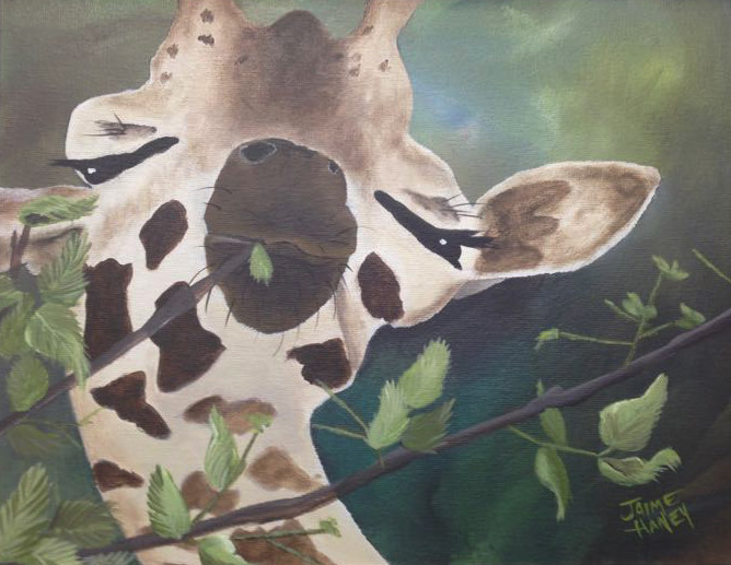 Animal Fine Art Prints