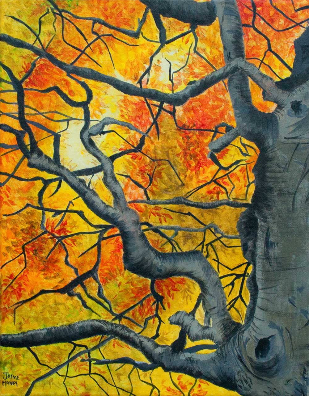 Tree Fine Art Prints
