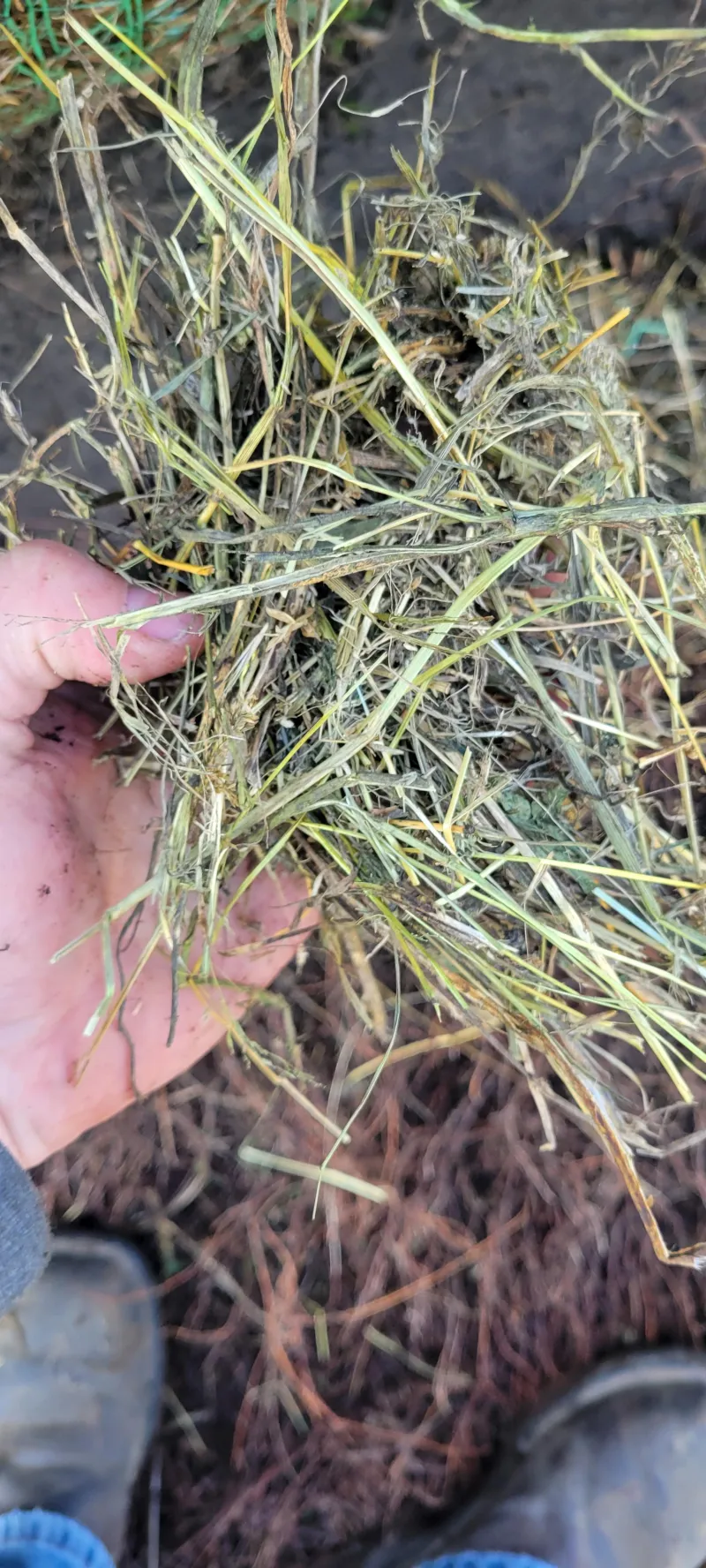 Pre-Order - Grass Hay - Round Bales