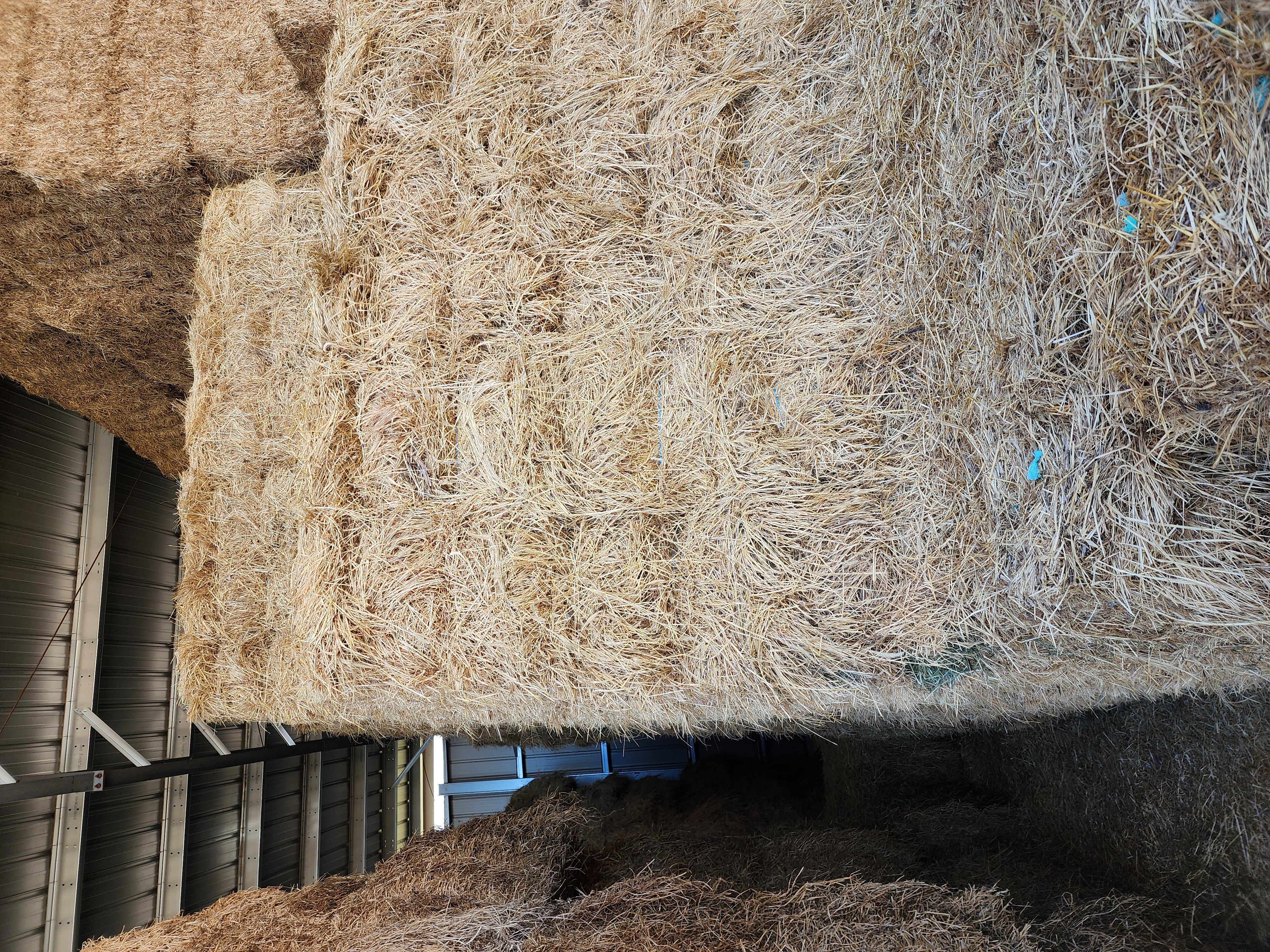 Small Square Bales